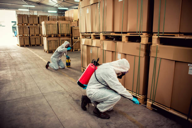 Flea Control Services in Odem, TX