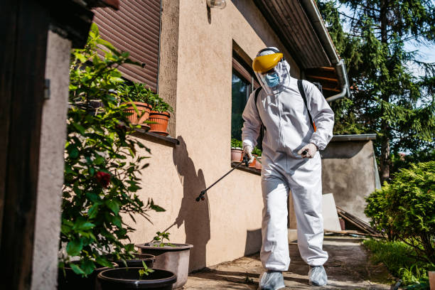 Wasp Removal Services in Odem, TX