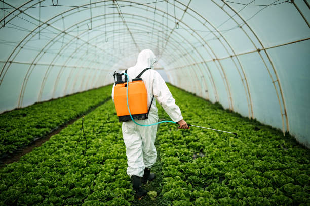 Best Mosquito Control Services  in Odem, TX