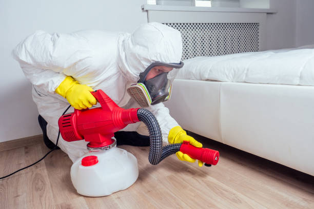 Best Flea Control Services  in Odem, TX