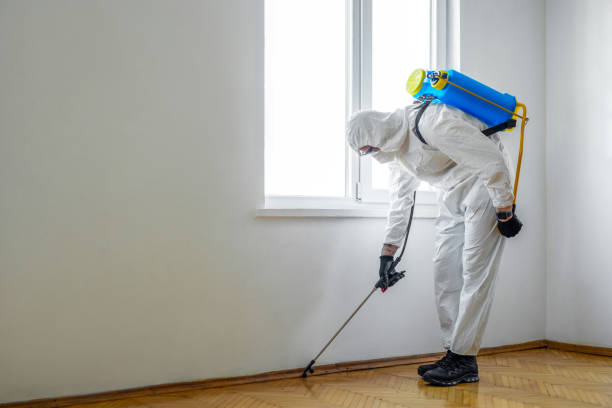 Best Mosquito Control Services  in Odem, TX