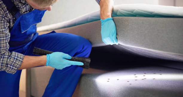 Best Wasp Removal Services  in Odem, TX