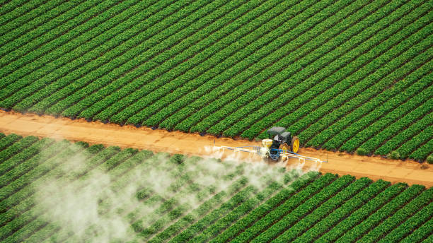 Best Pest Removal Services  in Odem, TX