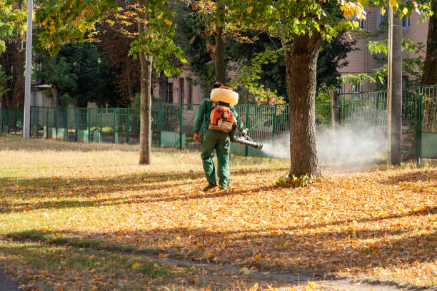 Best Wildlife Control Services  in Odem, TX