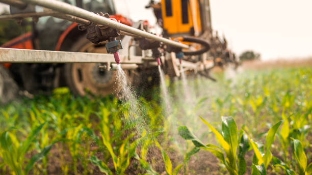 Best Commercial Pest Control Services  in Odem, TX